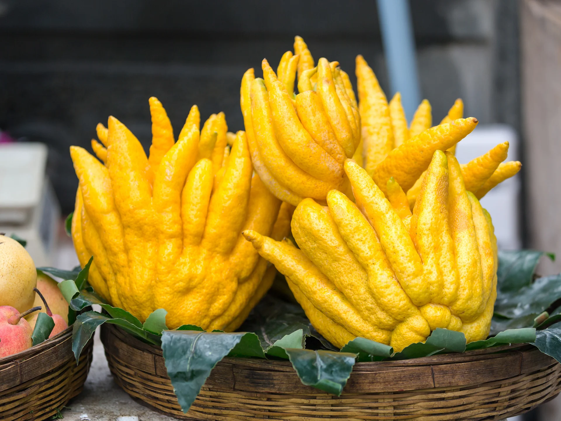 Maindebouddha Fruit Martinique