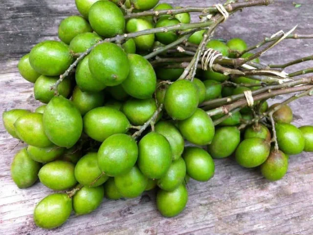 Quenette Fruit Martinique