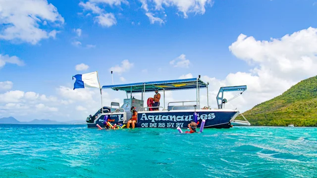 Snorkeling Poissons Les Aquanautes Marin Martinique