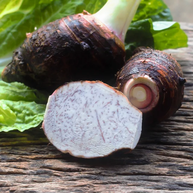 Taro Legume Martinique