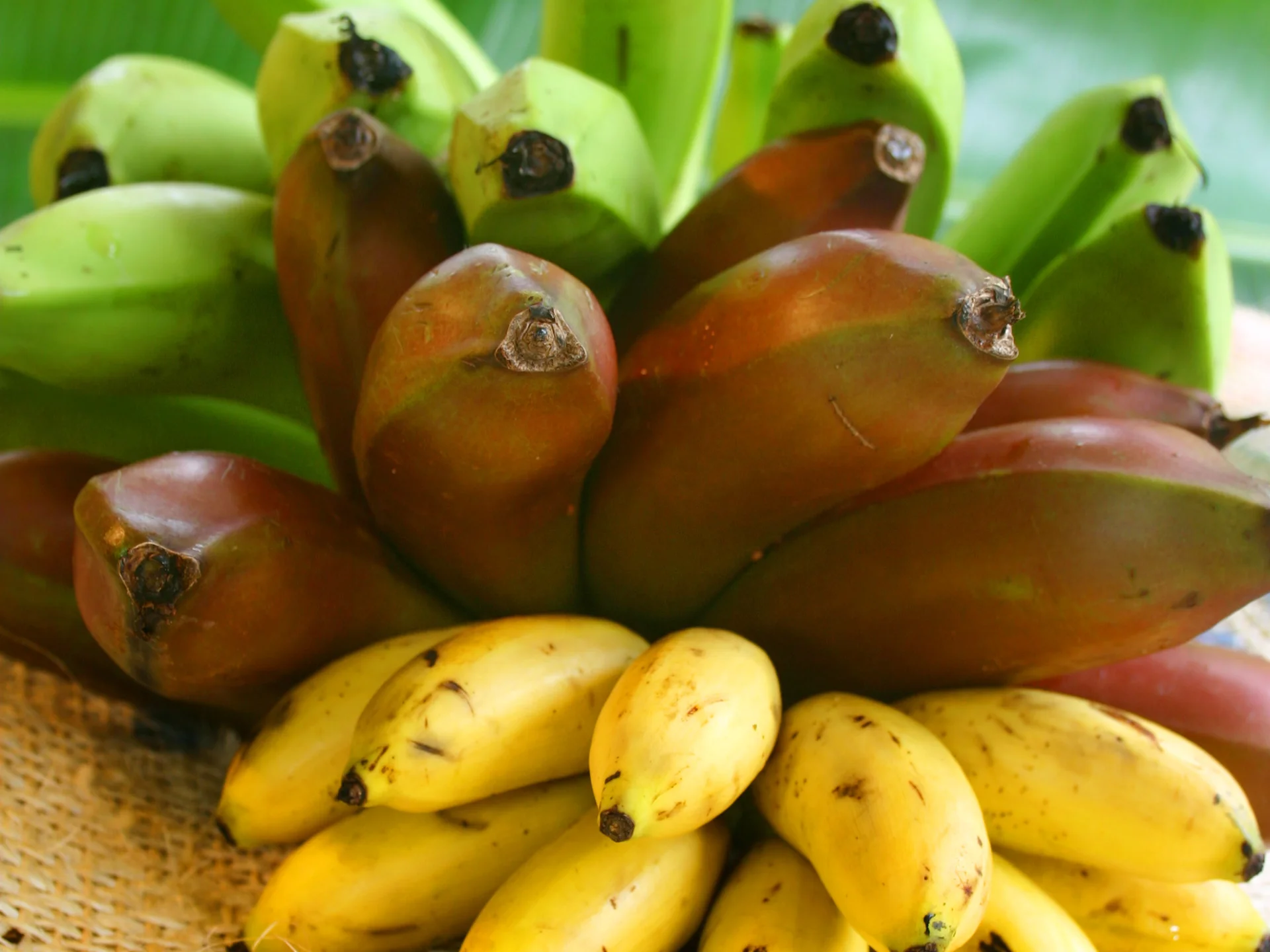 Banane Fruit Martinique