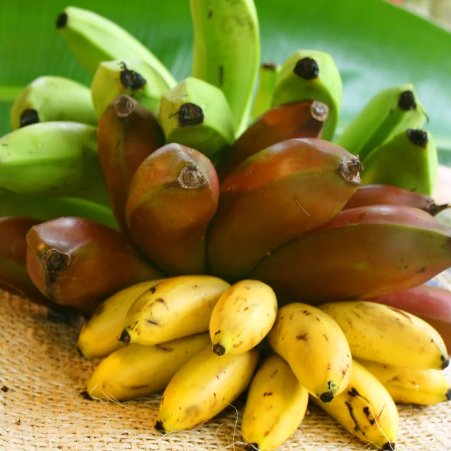 Banane Fruit Martinique