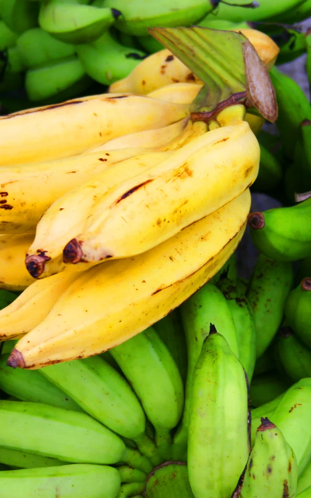 Banane plantain Fruit Martinique