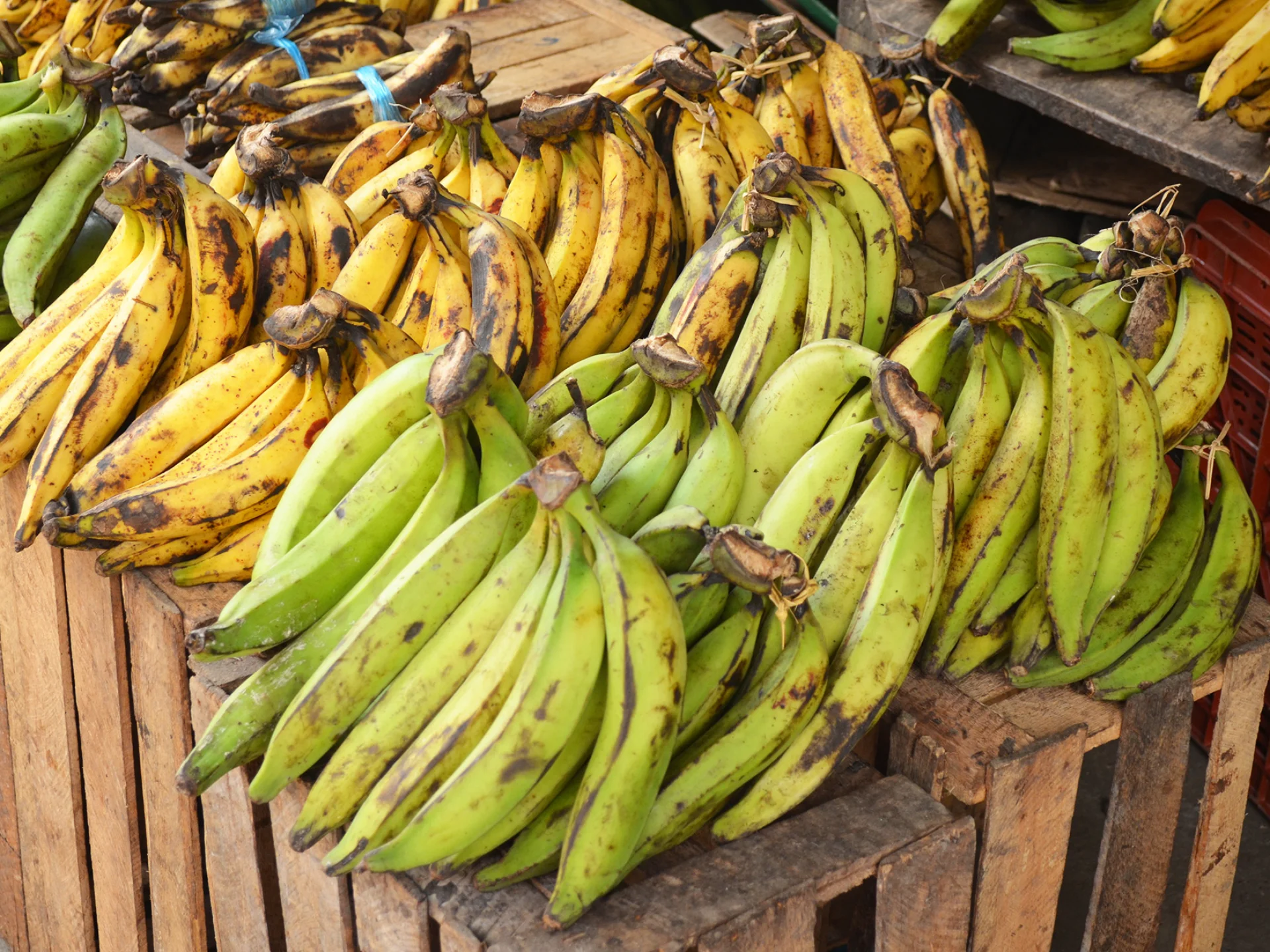 Marché Banane plantain Fruit Martinique