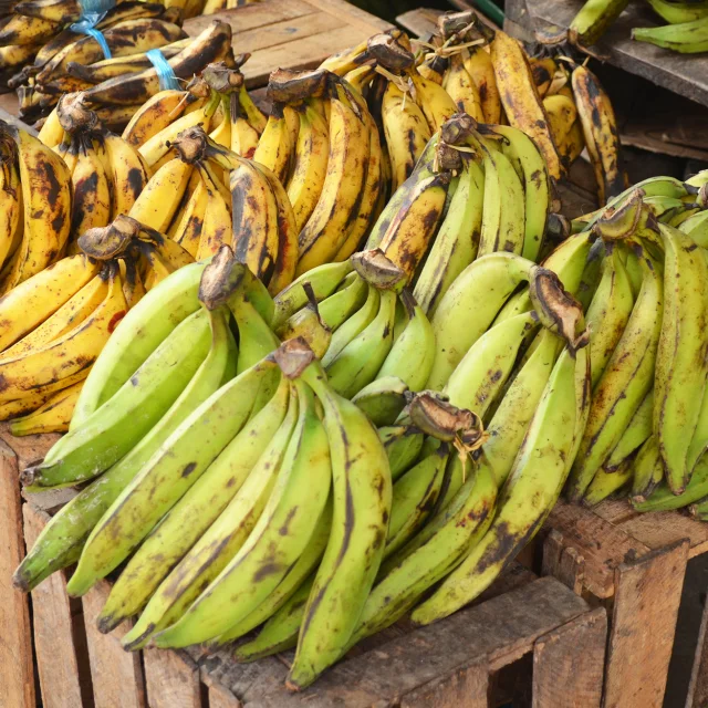 Marché Banane plantain Fruit Martinique