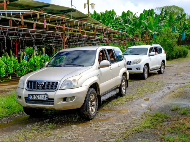 Bananeraie Tropic 4x4 Trois-îlets Martinique