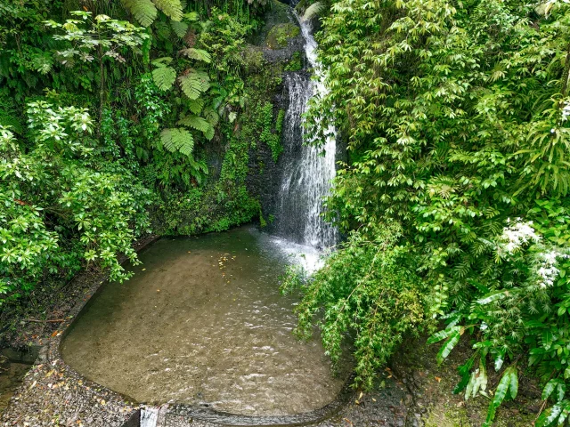 Cascadedusautgendarme Fondssaintdenis Martinique