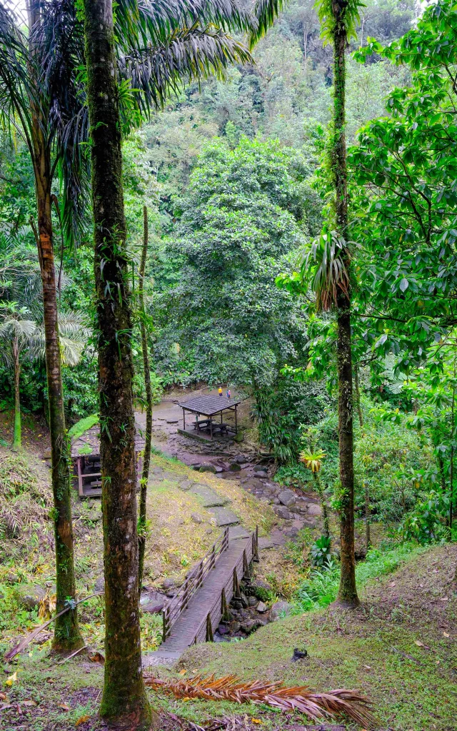 Cascade du Saut Gendarme Fonds-Saint-Denis Martinique