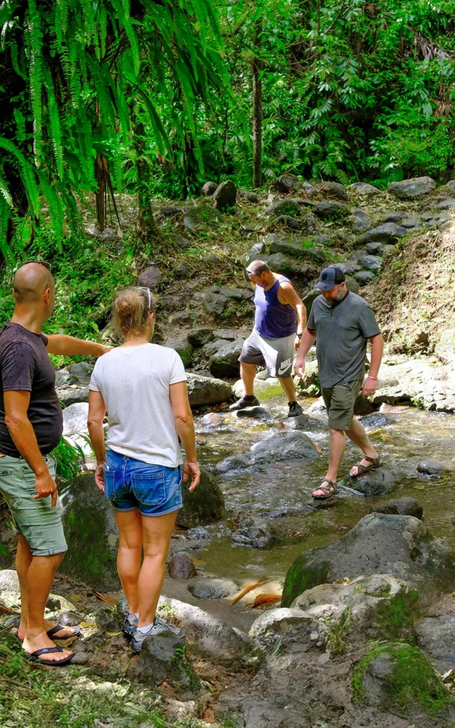 Cascade du Saut Gendarme Fonds-Saint-Denis Tropic 4x4 Trois-îlets Martinique