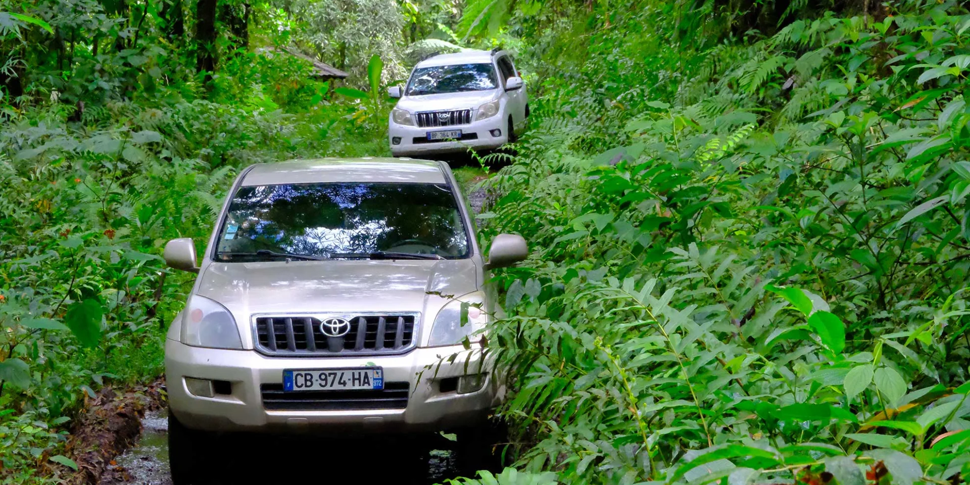 Excursion en 4x4 Tropic 4x4 Trois-îlets Martinique