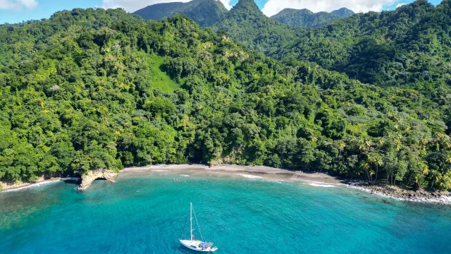 Plage Anse Couleuvre Prêcheur Martinique