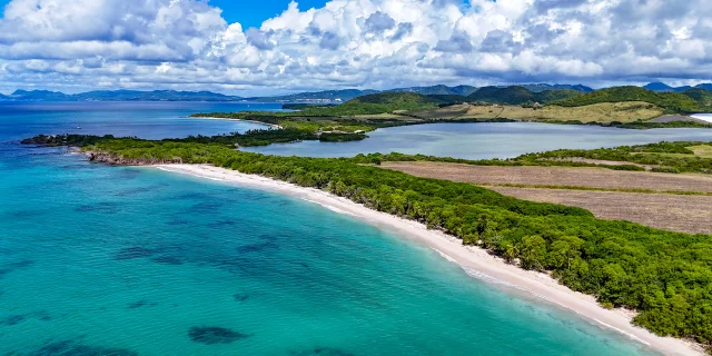 Plage des Salines Étang des Salines Sainte-Anne Martinique