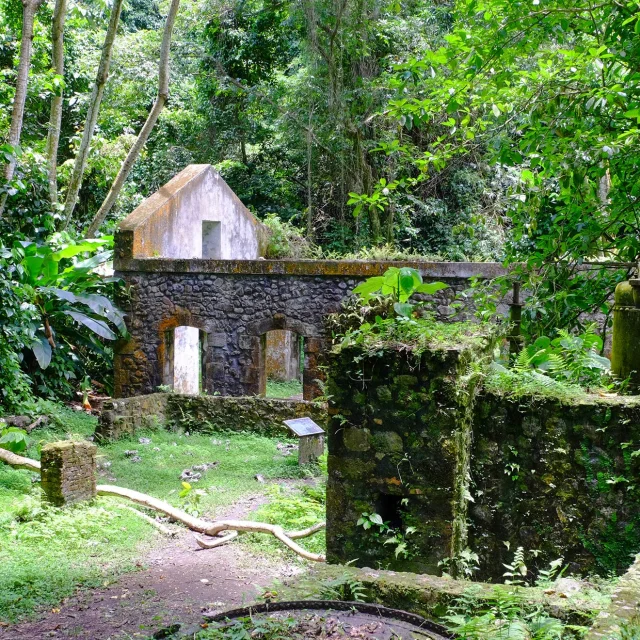 Ruine Manon Tardon Anse Couleuvre Prêcheur Martinique