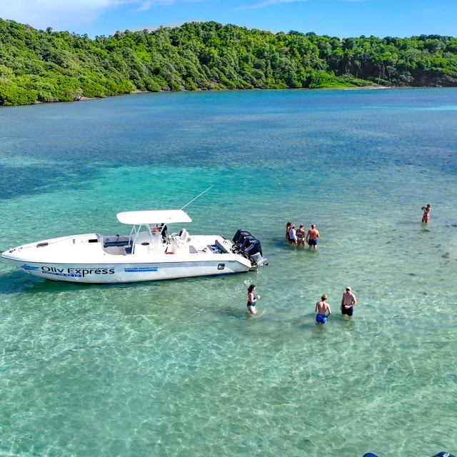 Oliv' Express François Fond blanc du Trapèze Robert Martinique