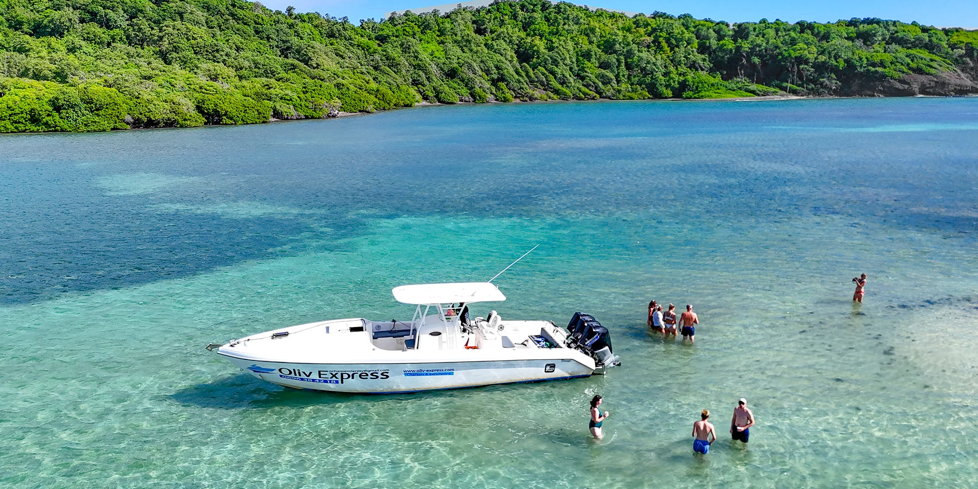 Oliv' Express François Fond blanc du Trapèze Robert Martinique