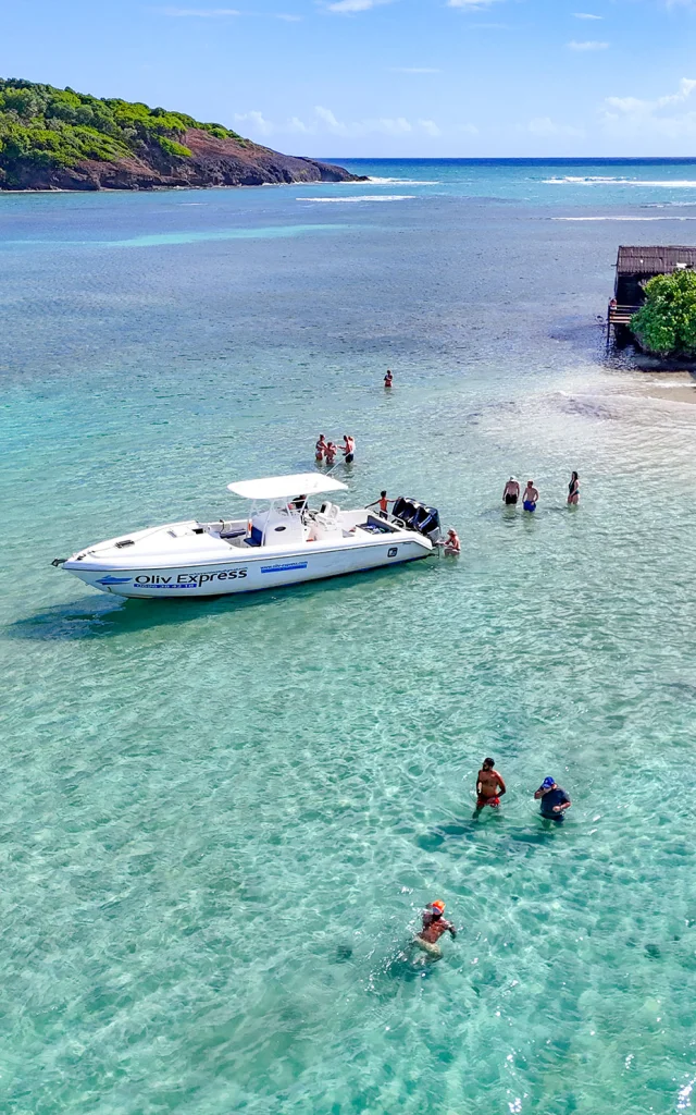 Oliv' Express François Fond blanc du Trapèze Robert Martinique